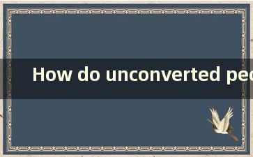 How do unconverted people make it Chinese（未皈依的人如何设置中文）